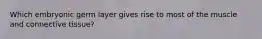 Which embryonic germ layer gives rise to most of the muscle and connective tissue?