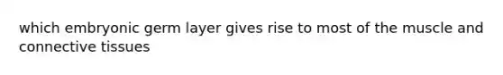 which embryonic germ layer gives rise to most of the muscle and connective tissues