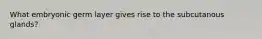 What embryonic germ layer gives rise to the subcutanous glands?