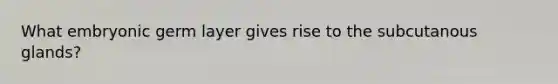 What embryonic germ layer gives rise to the subcutanous glands?