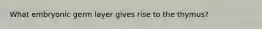 What embryonic germ layer gives rise to the thymus?