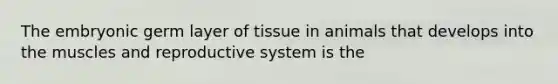 The embryonic germ layer of tissue in animals that develops into the muscles and reproductive system is the