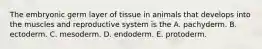 The embryonic germ layer of tissue in animals that develops into the muscles and reproductive system is the A. pachyderm. B. ectoderm. C. mesoderm. D. endoderm. E. protoderm.