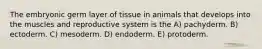 The embryonic germ layer of tissue in animals that develops into the muscles and reproductive system is the A) pachyderm. B) ectoderm. C) mesoderm. D) endoderm. E) protoderm.