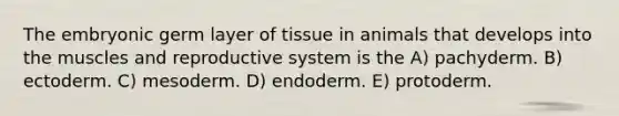 The embryonic germ layer of tissue in animals that develops into the muscles and reproductive system is the A) pachyderm. B) ectoderm. C) mesoderm. D) endoderm. E) protoderm.