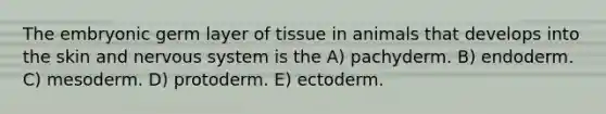 The embryonic germ layer of tissue in animals that develops into the skin and nervous system is the A) pachyderm. B) endoderm. C) mesoderm. D) protoderm. E) ectoderm.