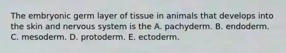 The embryonic germ layer of tissue in animals that develops into the skin and nervous system is the A. pachyderm. B. endoderm. C. mesoderm. D. protoderm. E. ectoderm.