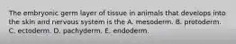 The embryonic germ layer of tissue in animals that develops into the skin and nervous system is the A. mesoderm. B. protoderm. C. ectoderm. D. pachyderm. E. endoderm.