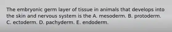 The embryonic germ layer of tissue in animals that develops into the skin and nervous system is the A. mesoderm. B. protoderm. C. ectoderm. D. pachyderm. E. endoderm.