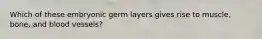 Which of these embryonic germ layers gives rise to muscle, bone, and blood vessels?