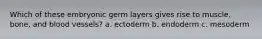 Which of these embryonic germ layers gives rise to muscle, bone, and blood vessels? a. ectoderm b. endoderm c. mesoderm