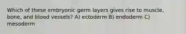 Which of these embryonic germ layers gives rise to muscle, bone, and blood vessels? A) ectoderm B) endoderm C) mesoderm