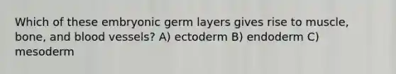 Which of these embryonic germ layers gives rise to muscle, bone, and blood vessels? A) ectoderm B) endoderm C) mesoderm