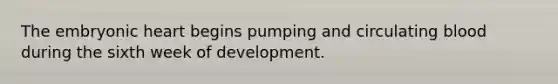 The embryonic heart begins pumping and circulating blood during the sixth week of development.