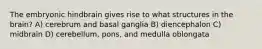 The embryonic hindbrain gives rise to what structures in the brain? A) cerebrum and basal ganglia B) diencephalon C) midbrain D) cerebellum, pons, and medulla oblongata