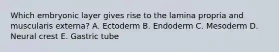 Which embryonic layer gives rise to the lamina propria and muscularis externa? A. Ectoderm B. Endoderm C. Mesoderm D. Neural crest E. Gastric tube