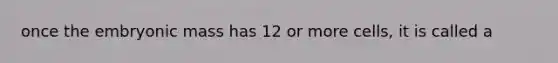 once the embryonic mass has 12 or more cells, it is called a