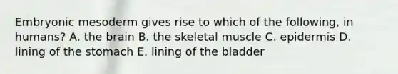 Embryonic mesoderm gives rise to which of the following, in humans? A. the brain B. the skeletal muscle C. epidermis D. lining of the stomach E. lining of the bladder