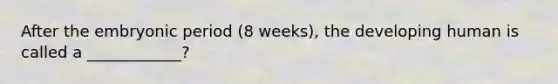 After the embryonic period (8 weeks), the developing human is called a ____________?