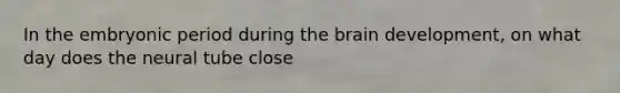 In the embryonic period during the brain development, on what day does the neural tube close