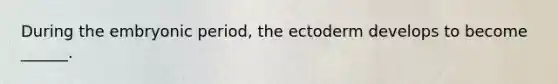 During the embryonic period, the ectoderm develops to become ______.