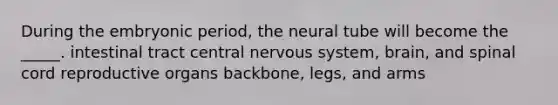 During the embryonic period, the neural tube will become the _____. intestinal tract central nervous system, brain, and spinal cord reproductive organs backbone, legs, and arms