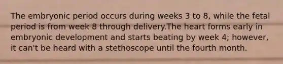 The embryonic period occurs during weeks 3 to 8, while the fetal period is from week 8 through delivery.The heart forms early in embryonic development and starts beating by week 4; however, it can't be heard with a stethoscope until the fourth month.