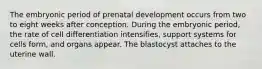 The embryonic period of prenatal development occurs from two to eight weeks after conception. During the embryonic period, the rate of cell differentiation intensifies, support systems for cells form, and organs appear. The blastocyst attaches to the uterine wall.