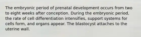 The embryonic period of prenatal development occurs from two to eight weeks after conception. During the embryonic period, the rate of cell differentiation intensifies, support systems for cells form, and organs appear. The blastocyst attaches to the uterine wall.