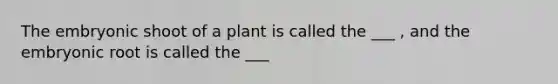 The embryonic shoot of a plant is called the ___ , and the embryonic root is called the ___