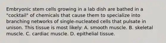 Embryonic stem cells growing in a lab dish are bathed in a "cocktail" of chemicals that cause them to specialize into branching networks of single-nucleated cells that pulsate in unison. This tissue is most likely: A. smooth muscle. B. skeletal muscle. C. cardiac muscle. D. epithelial tissue.