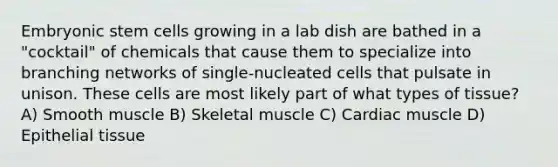 Embryonic stem cells growing in a lab dish are bathed in a "cocktail" of chemicals that cause them to specialize into branching networks of single-nucleated cells that pulsate in unison. These cells are most likely part of what types of tissue? A) Smooth muscle B) Skeletal muscle C) Cardiac muscle D) Epithelial tissue