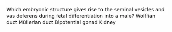 Which embryonic structure gives rise to the seminal vesicles and vas deferens during fetal differentiation into a male? Wolffian duct Müllerian duct Bipotential gonad Kidney