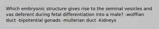 Which embryonic structure gives rise to the seminal vesicles and vas deferent during fetal differentiation into a male? -wolffian duct -bipotential gonads -mullerian duct -kidneys