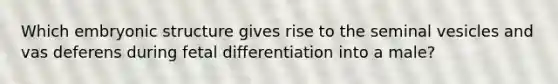 Which embryonic structure gives rise to the seminal vesicles and vas deferens during fetal differentiation into a male?