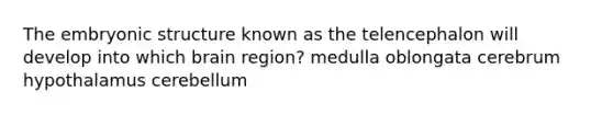 The embryonic structure known as the telencephalon will develop into which brain region? medulla oblongata cerebrum hypothalamus cerebellum