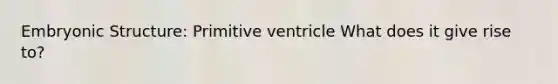 Embryonic Structure: Primitive ventricle What does it give rise to?