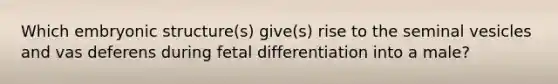 Which embryonic structure(s) give(s) rise to the seminal vesicles and vas deferens during fetal differentiation into a male?