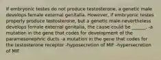 If embryonic testes do not produce testosterone, a genetic male develops female external genitalia. However, if embryonic testes properly produce testosterone, but a genetic male nevertheless develops female external genitalia, the cause could be ______. -a mutation in the gene that codes for development of the paramesonephric ducts -a mutation in the gene that codes for the testosterone receptor -hyposecretion of MIF -hypersecretion of MIF