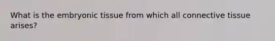 What is the embryonic tissue from which all connective tissue arises?