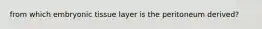 from which embryonic tissue layer is the peritoneum derived?