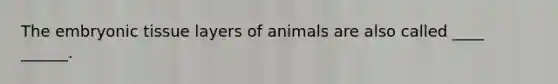 The embryonic tissue layers of animals are also called ____ ______.