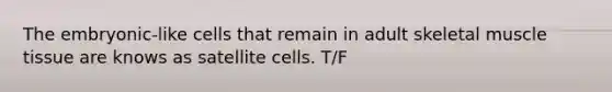 The embryonic-like cells that remain in adult skeletal muscle tissue are knows as satellite cells. T/F