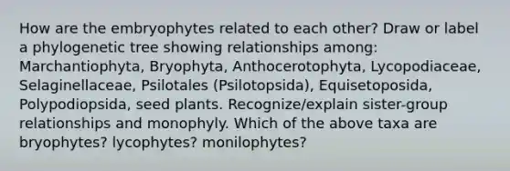 How are the embryophytes related to each other? Draw or label a phylogenetic tree showing relationships among: Marchantiophyta, Bryophyta, Anthocerotophyta, Lycopodiaceae, Selaginellaceae, Psilotales (Psilotopsida), Equisetoposida, Polypodiopsida, seed plants. Recognize/explain sister-group relationships and monophyly. Which of the above taxa are bryophytes? lycophytes? monilophytes?