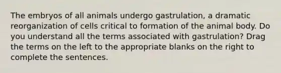 The embryos of all animals undergo gastrulation, a dramatic reorganization of cells critical to formation of the animal body. Do you understand all the terms associated with gastrulation? Drag the terms on the left to the appropriate blanks on the right to complete the sentences.