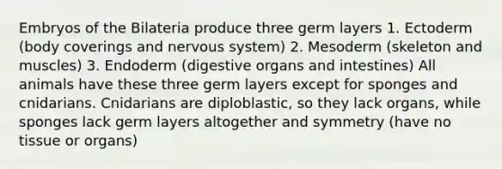 Embryos of the Bilateria produce three germ layers 1. Ectoderm (body coverings and nervous system) 2. Mesoderm (skeleton and muscles) 3. Endoderm (digestive organs and intestines) All animals have these three germ layers except for sponges and cnidarians. Cnidarians are diploblastic, so they lack organs, while sponges lack germ layers altogether and symmetry (have no tissue or organs)