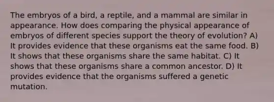 The embryos of a bird, a reptile, and a mammal are similar in appearance. How does comparing the physical appearance of embryos of different species support the <a href='https://www.questionai.com/knowledge/kzoSBoiwWp-theory-of-evolution' class='anchor-knowledge'>theory of evolution</a>? A) It provides evidence that these organisms eat the same food. B) It shows that these organisms share the same habitat. C) It shows that these organisms share a common ancestor. D) It provides evidence that the organisms suffered a genetic mutation.