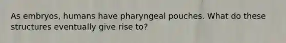 As embryos, humans have pharyngeal pouches. What do these structures eventually give rise to?