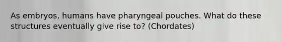 As embryos, humans have pharyngeal pouches. What do these structures eventually give rise to? (Chordates)