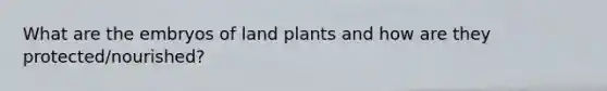 What are the embryos of land plants and how are they protected/nourished?